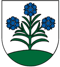 Obec Pravotice